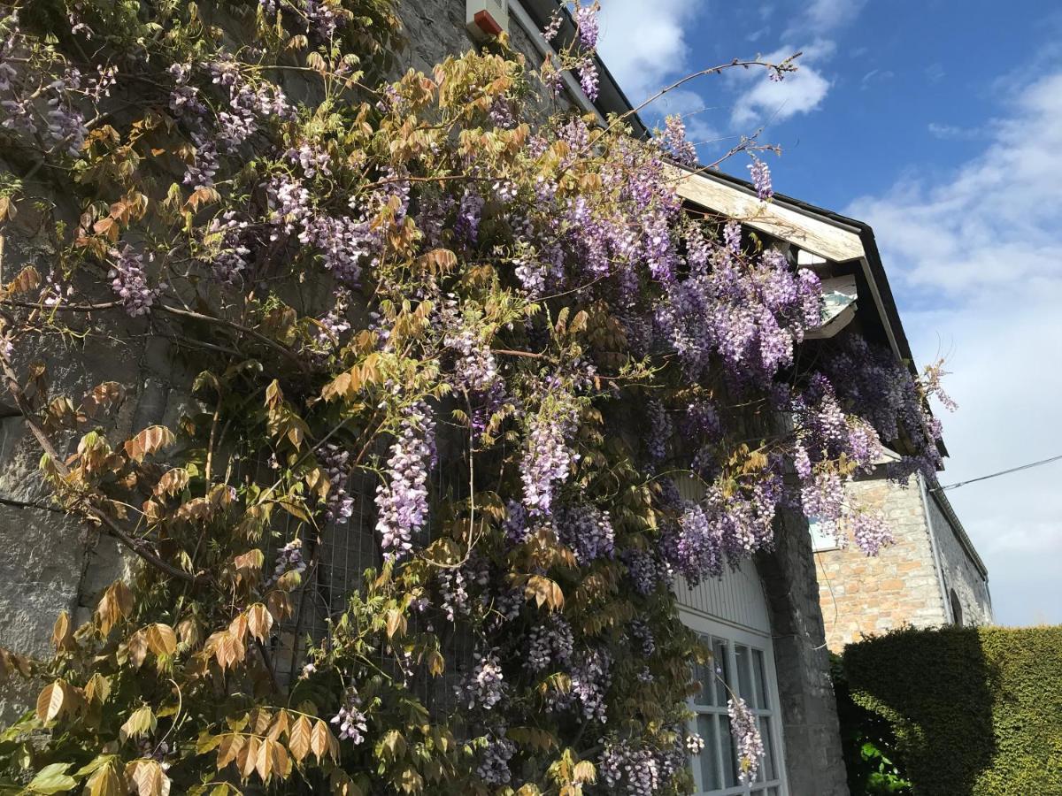 Xhoris B＆B ラ ビュイッソニエール Bed & Breakfast エクステリア 写真
